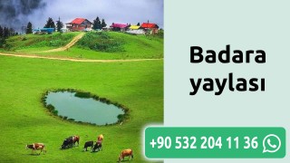 Badara yaylası